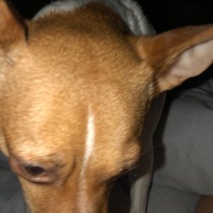 Meet your Posher, Stephnie